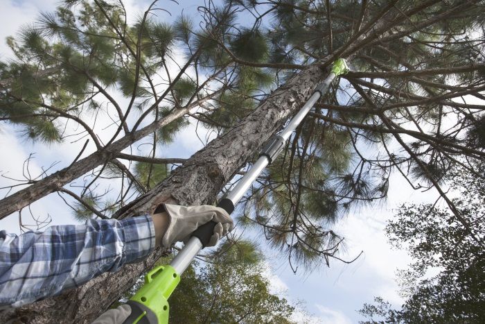 vysotorez-suchkorez-akkumulyatornyj-greenworks-g24ps20-24v-20-sm-2000107