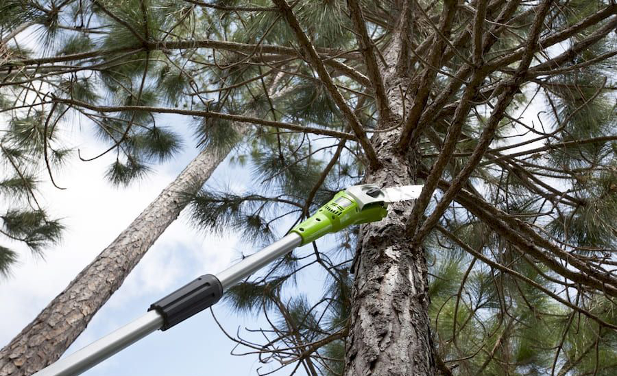 Высоторез – сучкорез аккумуляторный Greenworks 20 см 24V G24PS20, без АКБ и ЗУ