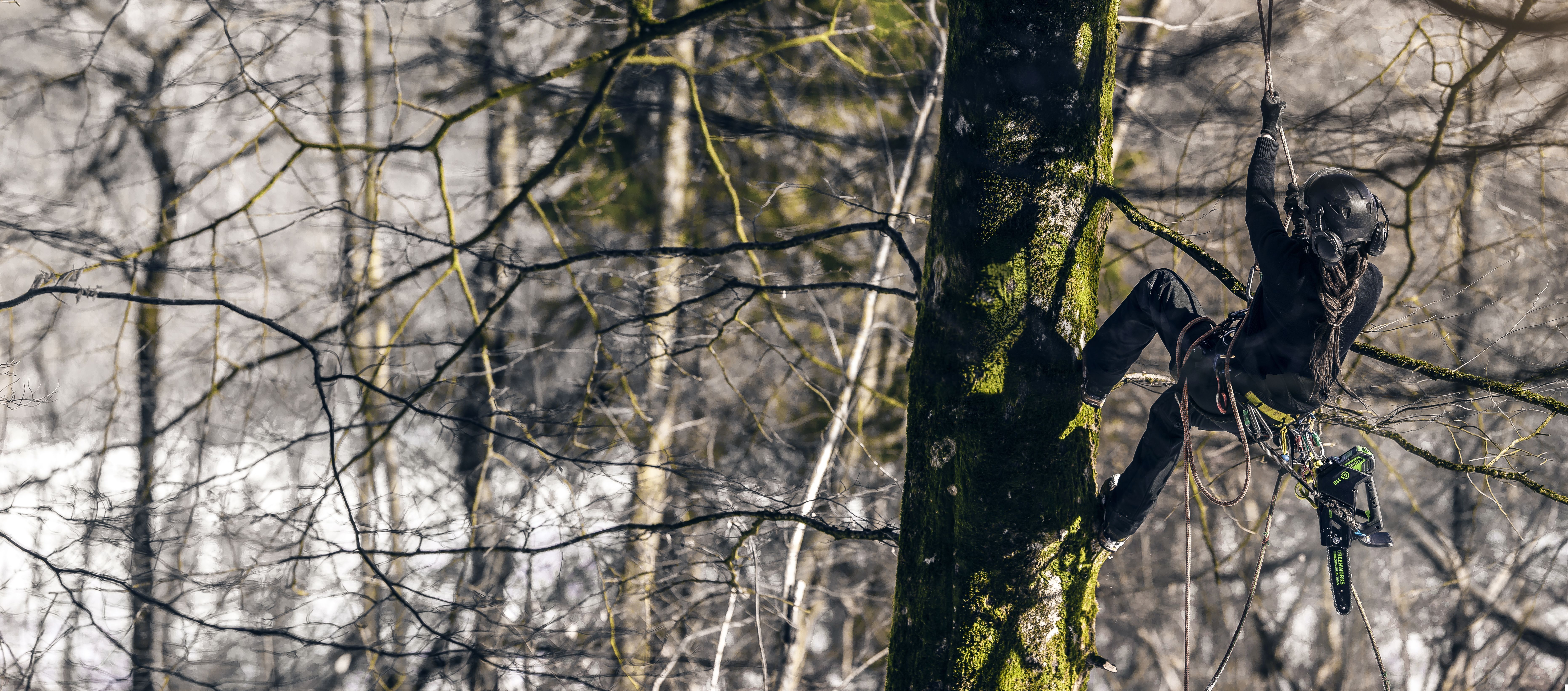Одноручная пила аккумуляторная цепная Greenworks 25 см 40V GD40TCS 2003807, бесщёточная, без АКБ и ЗУ