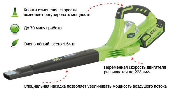 185956.jpg 185956.jpg